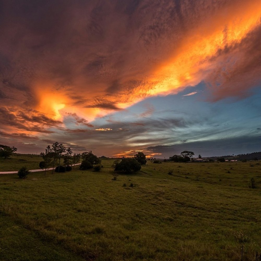 Meet your Posher Felicia